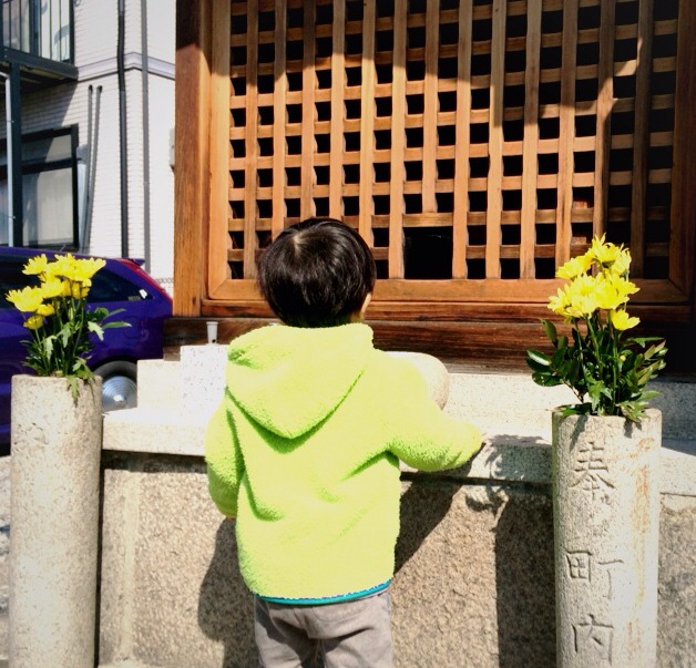 f:id:hawaiianberry:20140323233010j:plain f:id:hawaiianberry:20140323233010j:plain