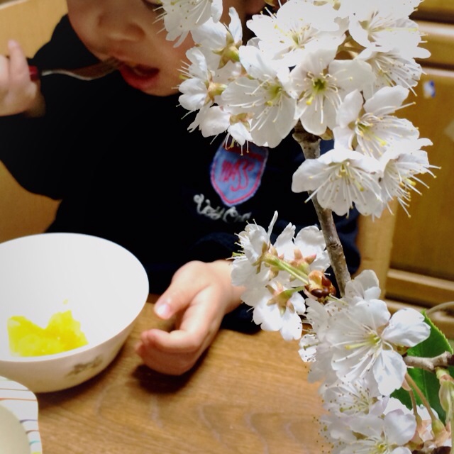 f:id:hawaiianberry:20140323233955j:plain f:id:hawaiianberry:20140323233955j:plain