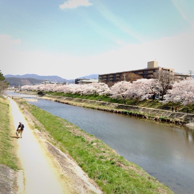 f:id:hawaiianberry:20140402111626j:plain f:id:hawaiianberry:20140402111626j:plain