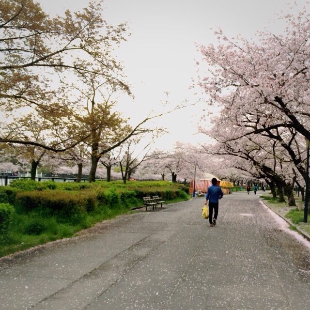 f:id:hawaiianberry:20140405220600j:plain f:id:hawaiianberry:20140405220600j:plain