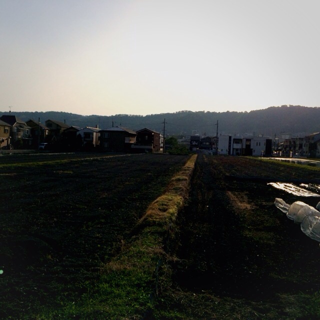f:id:hawaiianberry:20140524211330j:plain f:id:hawaiianberry:20140524211330j:plain
