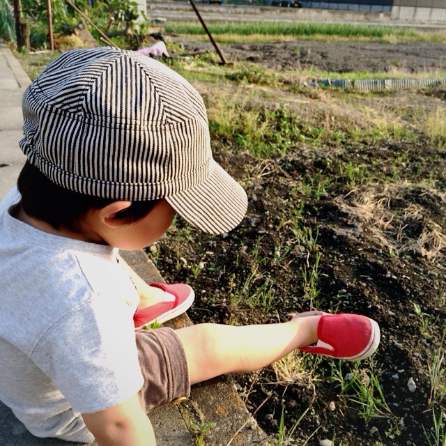 f:id:hawaiianberry:20140525064857j:plain f:id:hawaiianberry:20140525064857j:plain