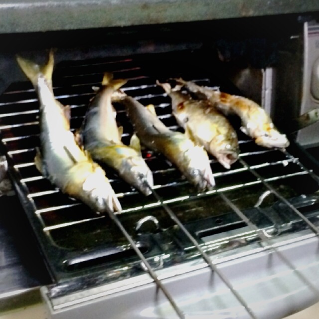f:id:hawaiianberry:20140702093210j:plain f:id:hawaiianberry:20140702093210j:plain