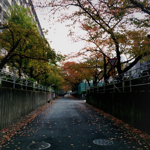 f:id:hawaiianberry:20141112102505j:plain f:id:hawaiianberry:20141112102505j:plain