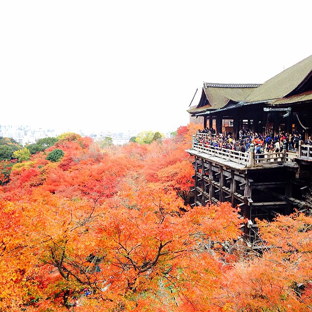 f:id:hawaiianberry:20141127153316j:plain f:id:hawaiianberry:20141127153316j:plain