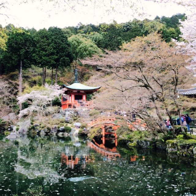 f:id:hawaiianberry:20150408093529j:plain f:id:hawaiianberry:20150408093529j:plain