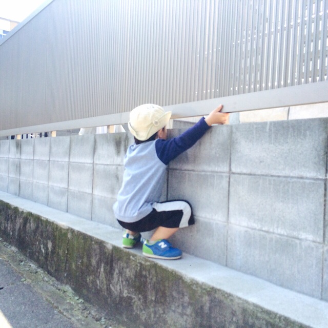 f:id:hawaiianberry:20150510221854j:plain f:id:hawaiianberry:20150510221854j:plain