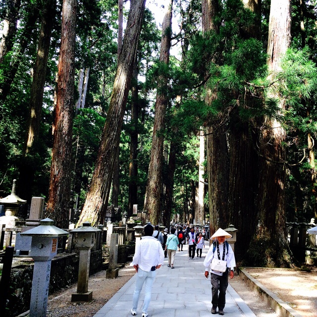 f:id:hawaiianberry:20150527130430j:plain f:id:hawaiianberry:20150527130430j:plain