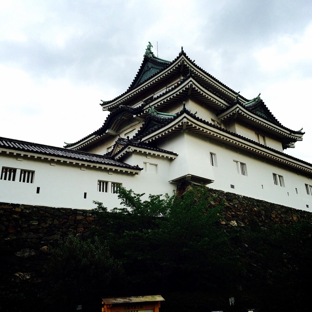 f:id:hawaiianberry:20150528225959j:plain f:id:hawaiianberry:20150528225959j:plain