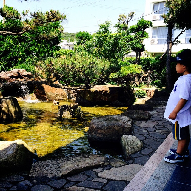 f:id:hawaiianberry:20150603212847j:plain f:id:hawaiianberry:20150603212847j:plain