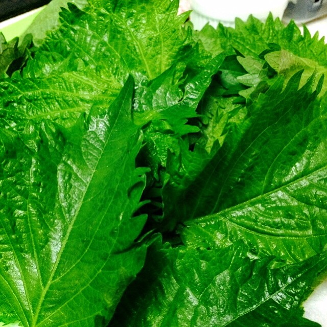 f:id:hawaiianberry:20150709225331j:image f:id:hawaiianberry:20150709225331j:image