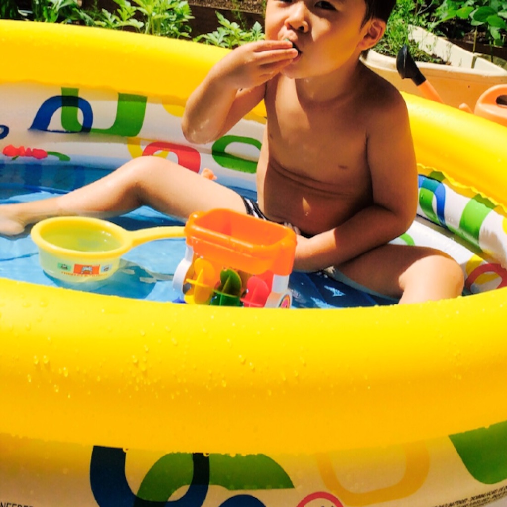 f:id:hawaiianberry:20150727225948j:image f:id:hawaiianberry:20150727225948j:image