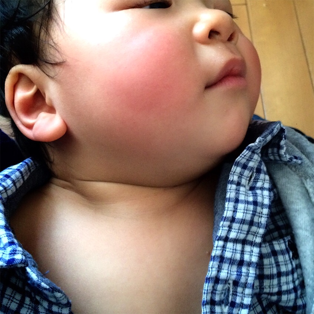 f:id:hawaiianberry:20160323111808j:image f:id:hawaiianberry:20160323111808j:image