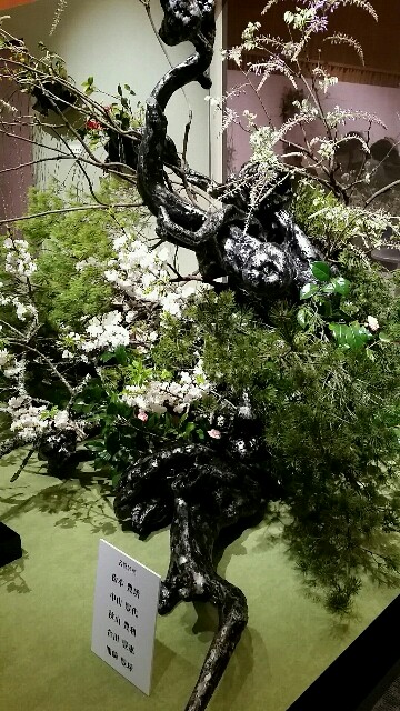 f:id:hayatoshipapa:20160324191902j:image f:id:hayatoshipapa:20160324191902j:image