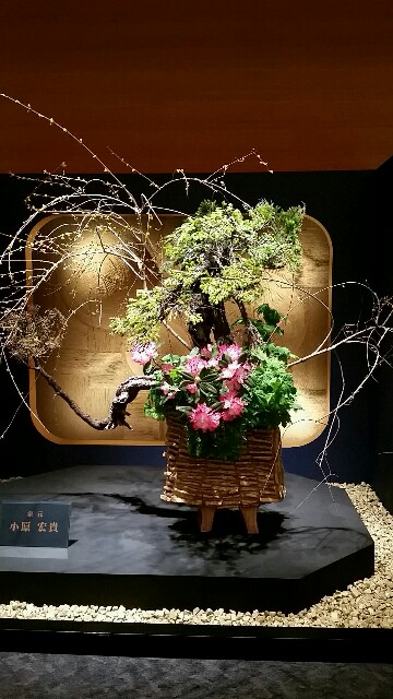f:id:hayatoshipapa:20160324191925j:image f:id:hayatoshipapa:20160324191925j:image