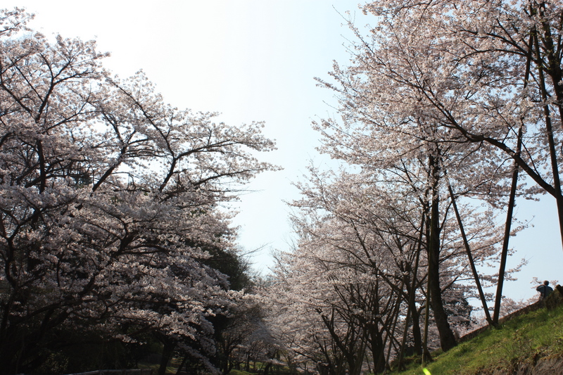 f:id:hazy_moon:20090407092757j:image:w400 f:id:hazy_moon:20090407092757j:image:w400