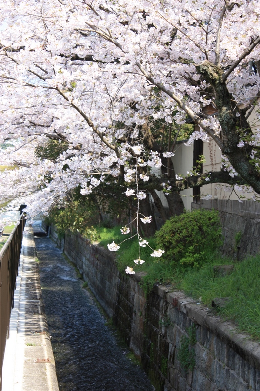 f:id:hazy_moon:20090407094624j:image:w400 f:id:hazy_moon:20090407094624j:image:w400