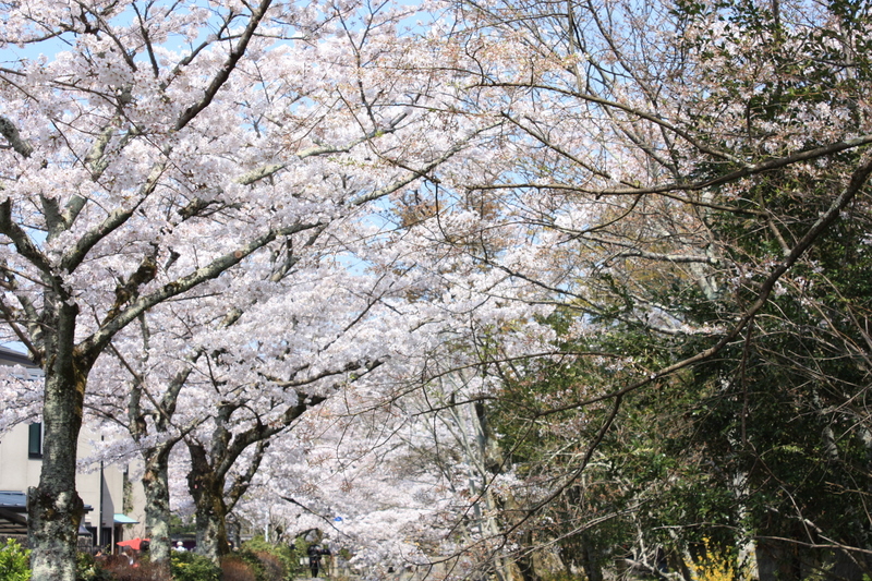 f:id:hazy_moon:20090407104131j:image:w400 f:id:hazy_moon:20090407104131j:image:w400