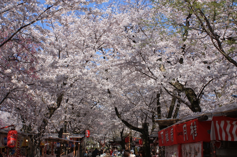 f:id:hazy_moon:20090407151839j:image:w400 f:id:hazy_moon:20090407151839j:image:w400