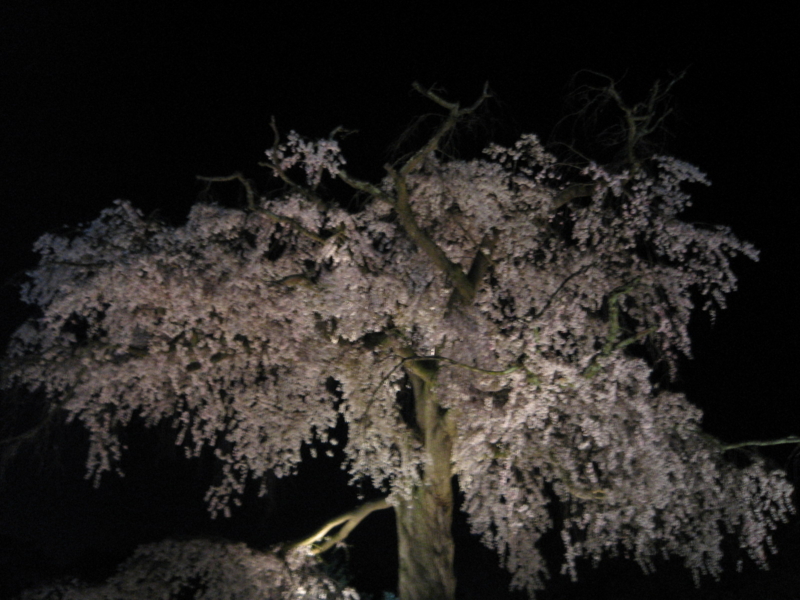 f:id:hazy_moon:20090407204121j:image:w300 f:id:hazy_moon:20090407204121j:image:w300