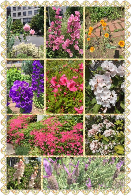 f:id:hdks:20160610001226j:plain f:id:hdks:20160610001226j:plain