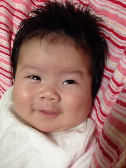 f:id:healthymerci:20140704154932j:plain f:id:healthymerci:20140704154932j:plain