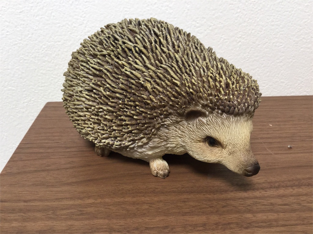 f:id:hedgehog_chacha:20151106145842j:image f:id:hedgehog_chacha:20151106145842j:image