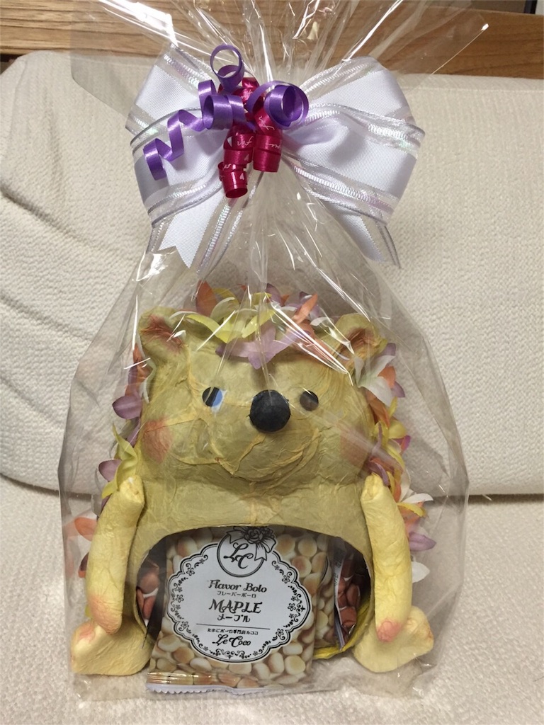 f:id:hedgehog_chacha:20151227230530j:image f:id:hedgehog_chacha:20151227230530j:image