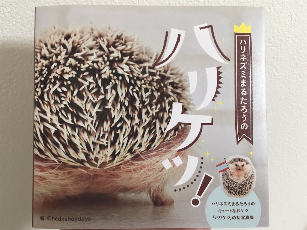 f:id:hedgehog_chacha:20151227230835j:image f:id:hedgehog_chacha:20151227230835j:image
