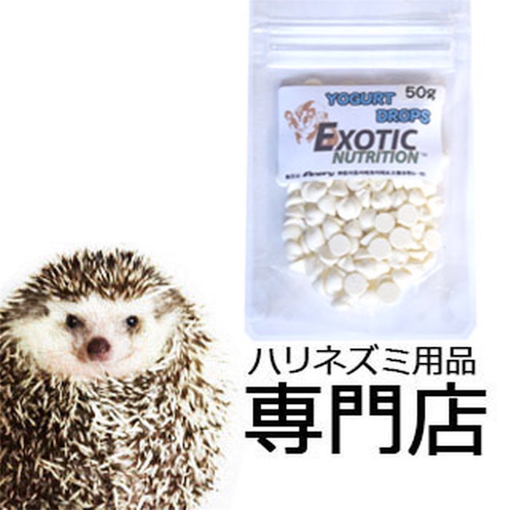 f:id:hedgehog_chacha:20151229235127j:image f:id:hedgehog_chacha:20151229235127j:image
