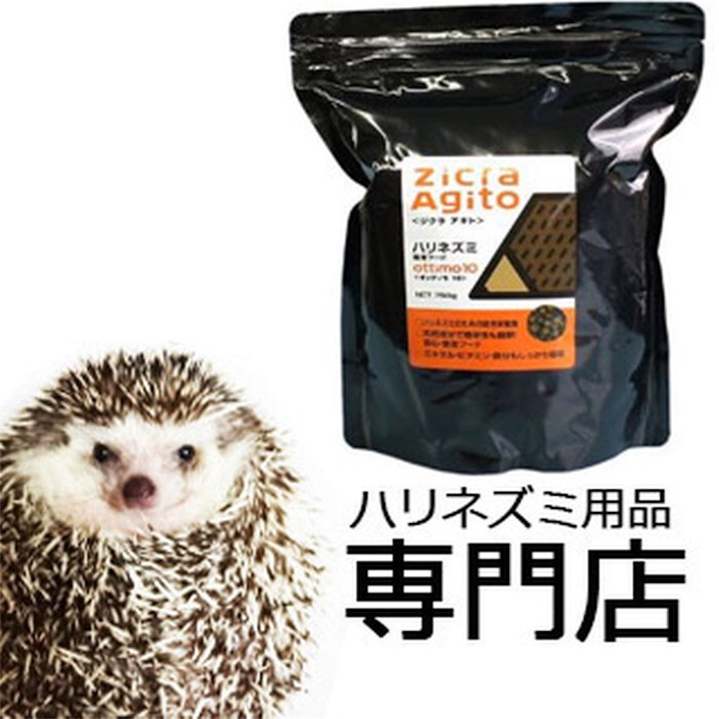 f:id:hedgehog_chacha:20151229235142j:image f:id:hedgehog_chacha:20151229235142j:image