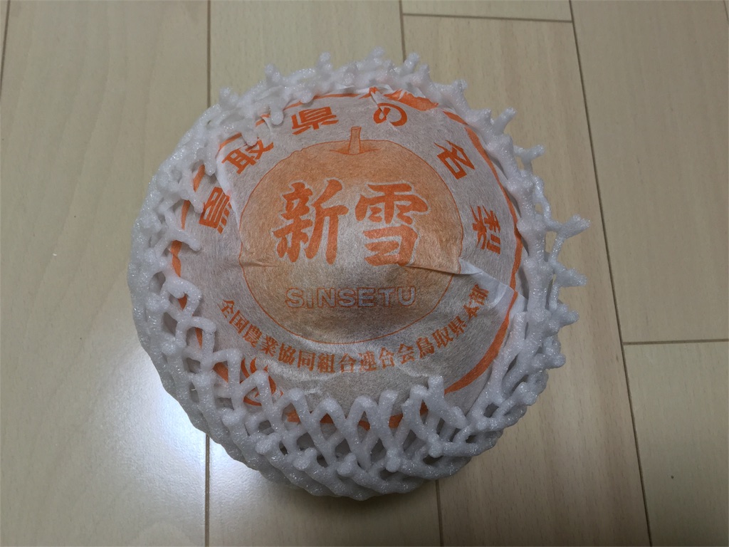 f:id:hedgehog_chacha:20160119174757j:image f:id:hedgehog_chacha:20160119174757j:image