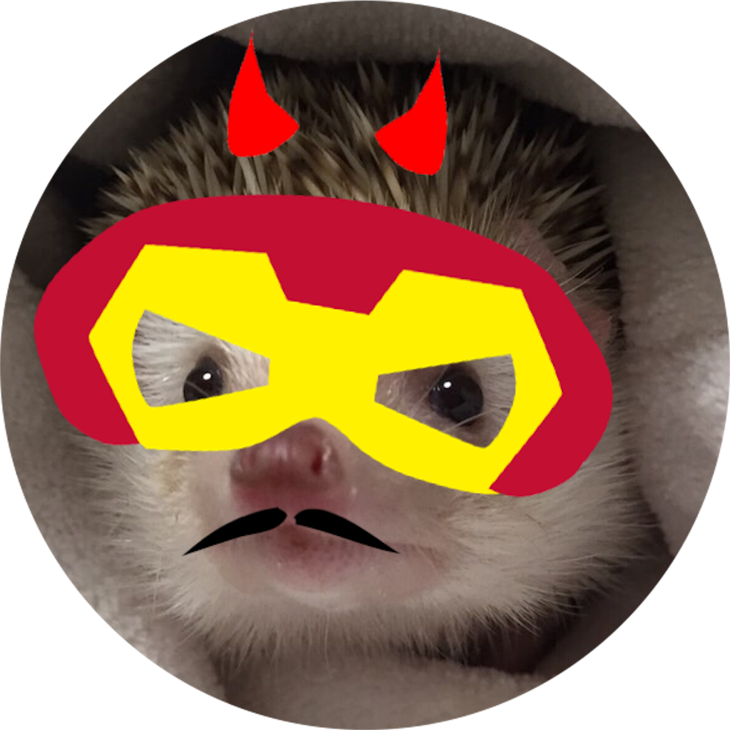 f:id:hedgehog_chacha:20160121170025p:image f:id:hedgehog_chacha:20160121170025p:image