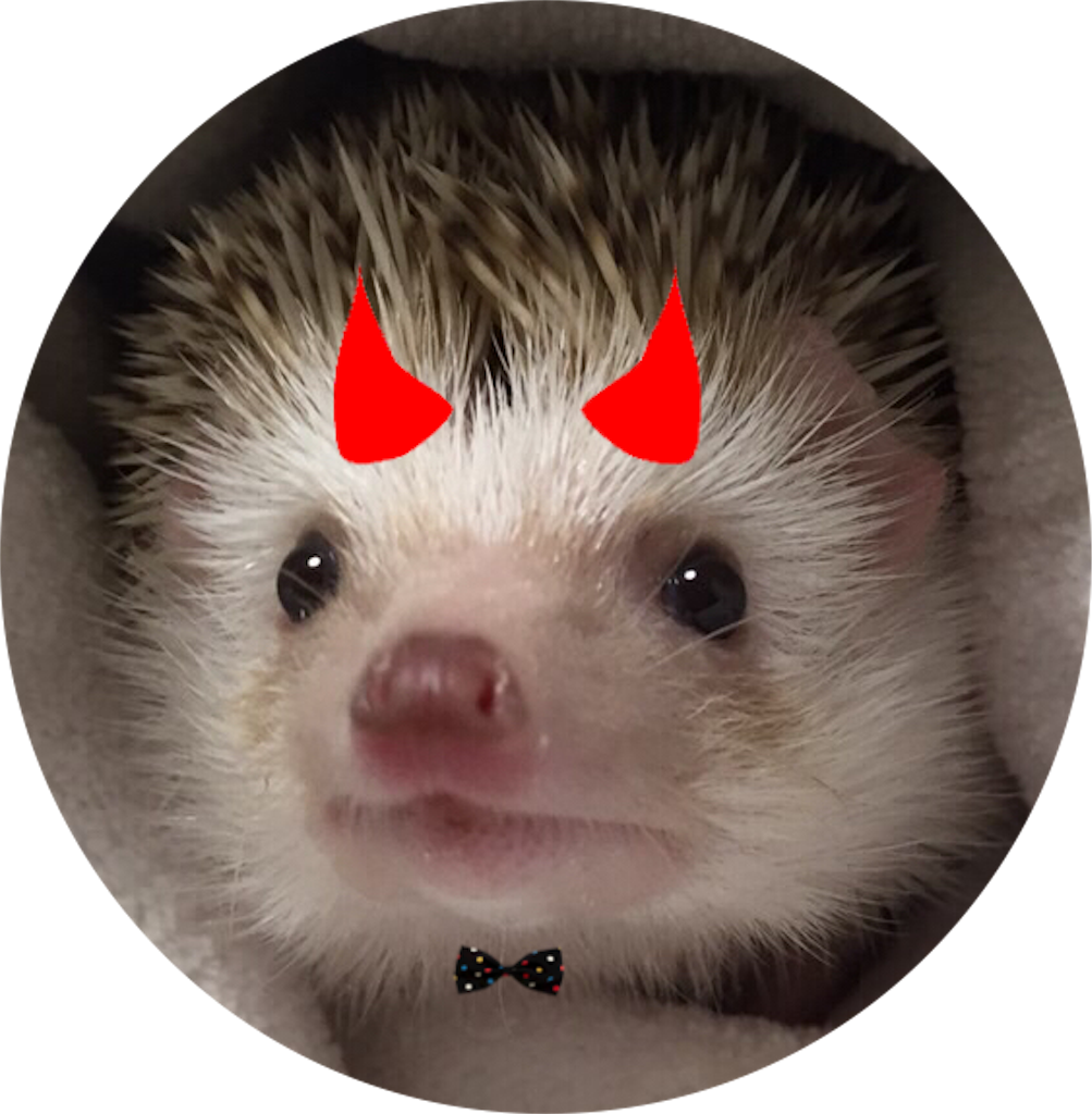 f:id:hedgehog_chacha:20160211233718p:image f:id:hedgehog_chacha:20160211233718p:image