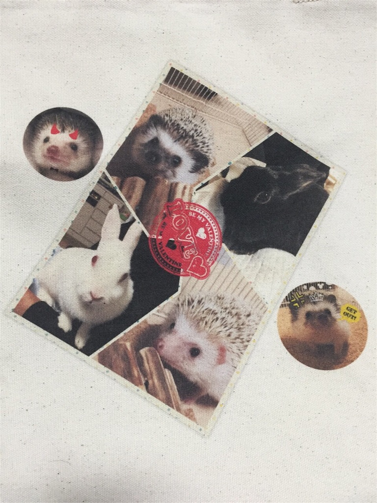 f:id:hedgehog_chacha:20160212210617j:image f:id:hedgehog_chacha:20160212210617j:image