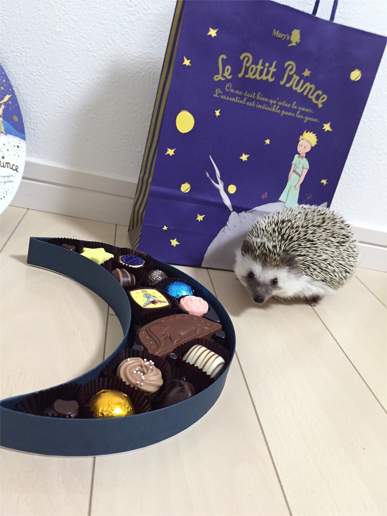 f:id:hedgehog_chacha:20160214190343j:image f:id:hedgehog_chacha:20160214190343j:image