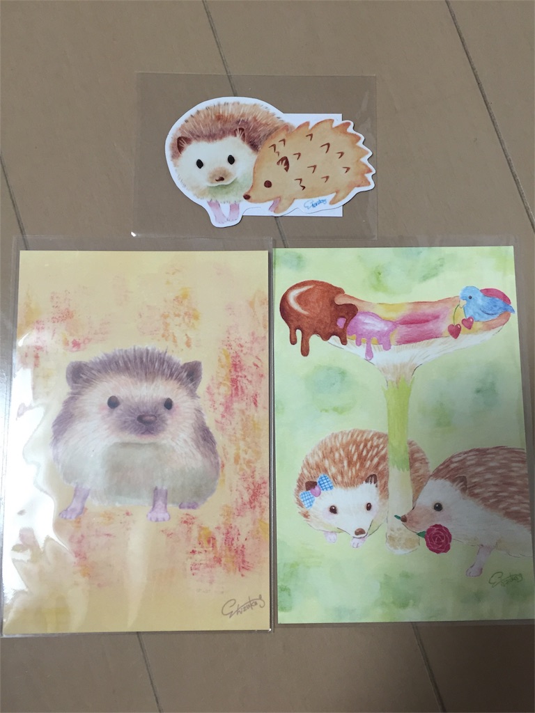 f:id:hedgehog_chacha:20160228163628j:image f:id:hedgehog_chacha:20160228163628j:image