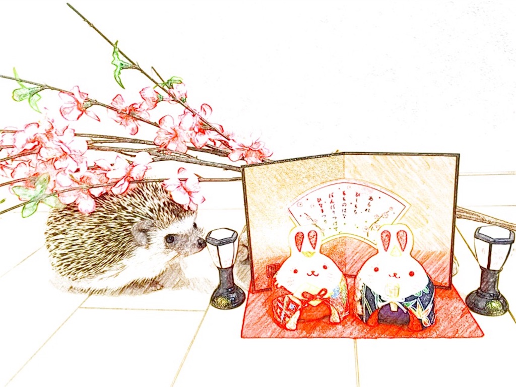 f:id:hedgehog_chacha:20160313230931j:image f:id:hedgehog_chacha:20160313230931j:image