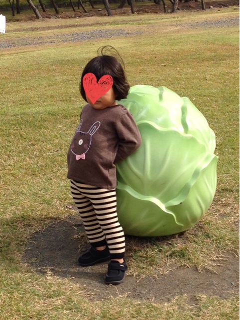f:id:heichang:20141108234031j:plain f:id:heichang:20141108234031j:plain