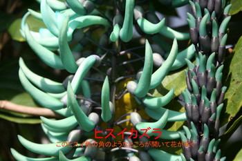 f:id:henrymiura:20070408133052j:image