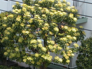 f:id:henrymiura:20100430130217j:image:right f:id:henrymiura:20100430130217j:image:right