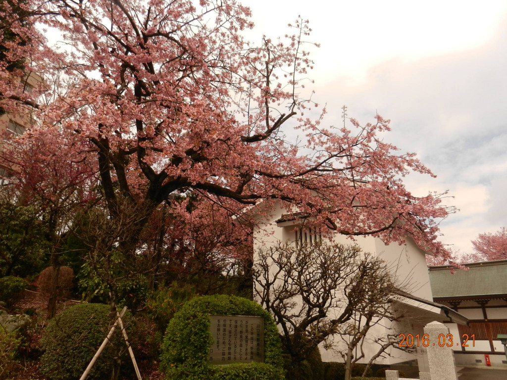 f:id:henrymiura:20160321110828j:plain f:id:henrymiura:20160321110828j:plain