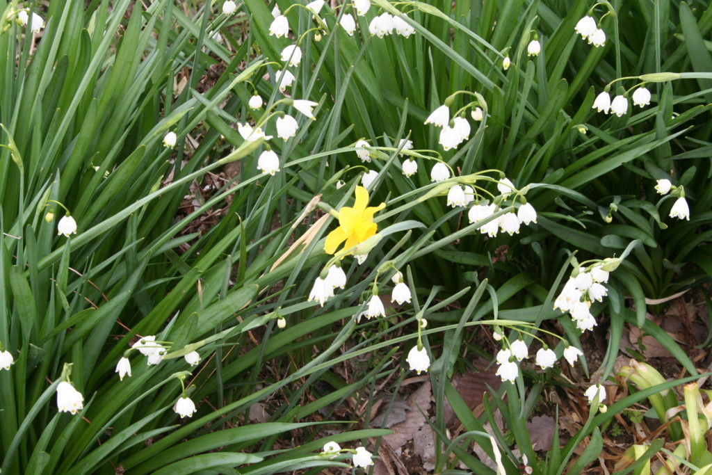 f:id:henrymiura:20160330113037j:plain