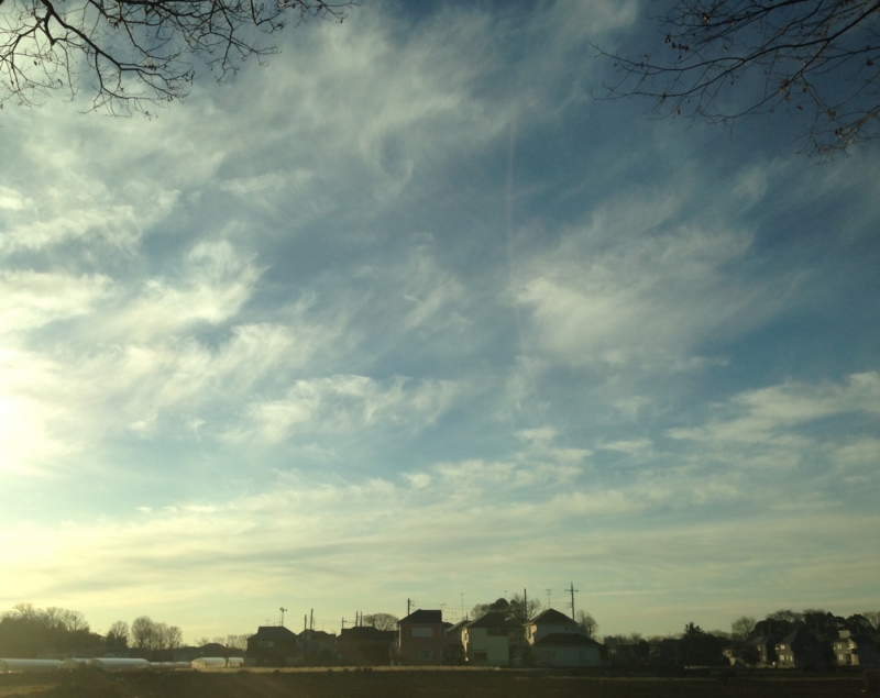 f:id:herbteatime:20150221205208j:plain f:id:herbteatime:20150221205208j:plain