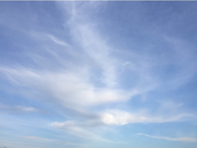 f:id:herbteatime:20150505153508j:image f:id:herbteatime:20150505153508j:image