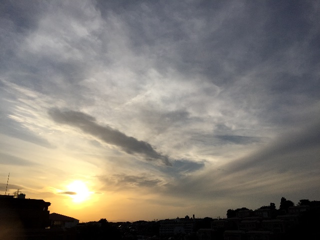 f:id:herbteatime:20150516075106j:image f:id:herbteatime:20150516075106j:image