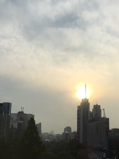 f:id:herbteatime:20150516075211j:image f:id:herbteatime:20150516075211j:image