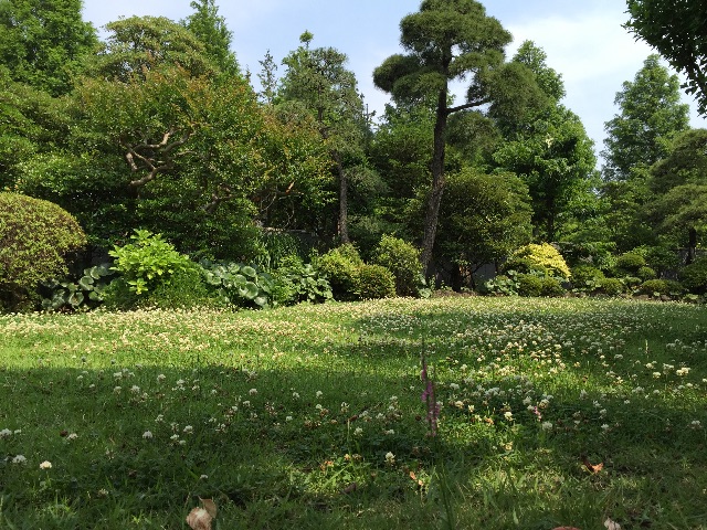 f:id:herbteatime:20150616091711j:image f:id:herbteatime:20150616091711j:image