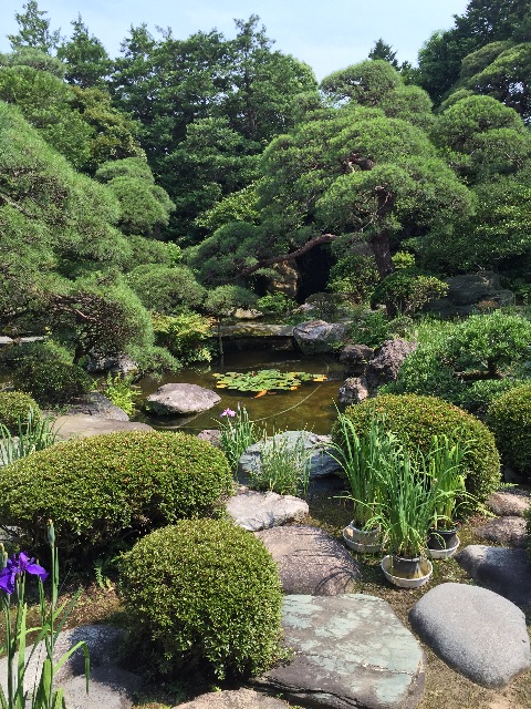 f:id:herbteatime:20150616091939j:image f:id:herbteatime:20150616091939j:image