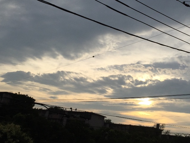 f:id:herbteatime:20150627211129j:image f:id:herbteatime:20150627211129j:image